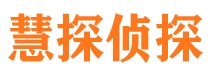 平和私家侦探